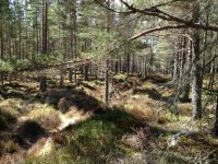 Mountain Biking photo