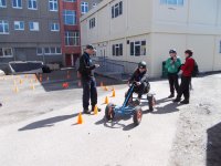 Pedal Cars photo