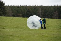 Hamster Zorbs photo