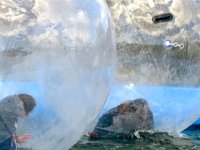 Climbing Wall :: Water Walkers photo