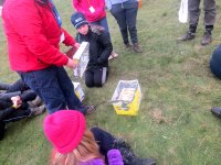 Camp Ovens, Pizza and Cake photo
