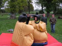 Sumo Wrestling photo