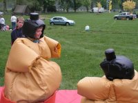 Sumo Wrestling photo