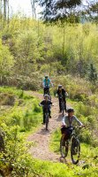 Mountain Biking photo