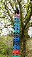 Rope & Ladder Climb / Crate Climbing / Wobbly Pole / Tyrolean photo