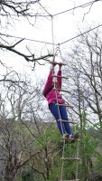 Rope & Ladder Climb / Crate Climbing / Wobbly Pole / Tyrolean photo