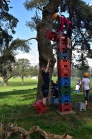 Crate Climbing photo