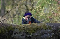 Laser Tag photo