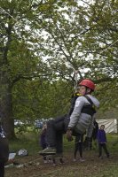 3G Swing photo
