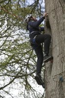 Leap of faith photo