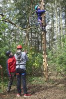 Wobble Pole photo