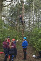 Wobble Pole photo