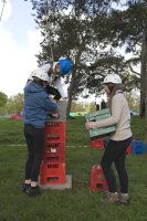 Crate Stacking photo
