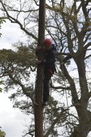 Peg Pole Climb photo
