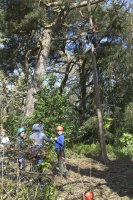 Peg Pole Climb photo