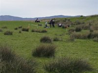 Quads photo