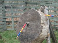 Tomahawk Throwing photo