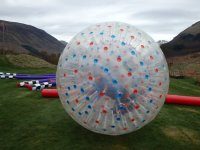 Hamster Zorb photo