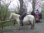 Multi Activity - Mini Railway/Swimming/Pony Trekking photo