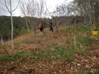 Service Project photo