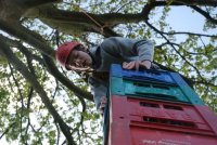 Crate Climbing photo
