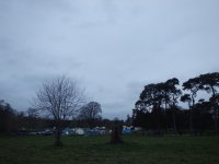 Camp Life photo