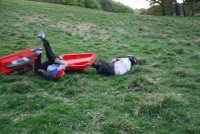Grass Sledges photo