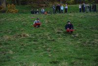 Grass Sledges photo