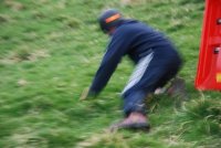 Grass Sledges photo