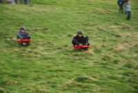 Grass Sledges photo