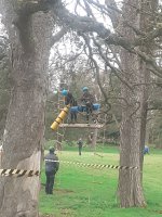 In the Trees photo