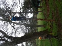 In the Trees photo
