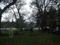 In the Trees photo