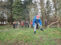 In the Trees photo