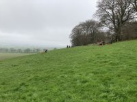 Grass Sledging, Mountain Boards and Land Yachts photo