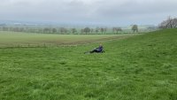 Grass Sledging, Mountain Boards and Land Yachts photo