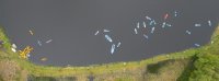 Watersports photo