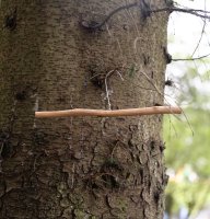 Bushcraft Zone photo