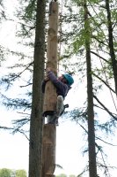 Heights Zone 1 photo