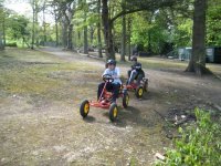 Pedal Cars photo