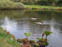 Remote Control photo