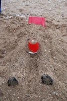 Sand Castle Competition photo