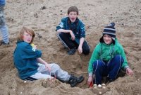 Sand Castle Competition photo