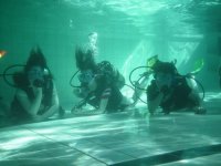 Scuba Diving photo