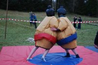 Sumo & Boxing photo
