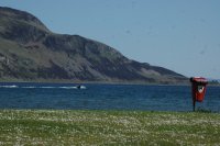 Powerboating photo