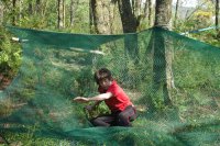 Assault Course photo